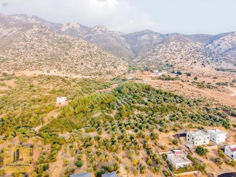 Kozan Gayrimenkulden Ağlıboğazda 547m2 Çok Cazıp Arsa — fotoğraf 13