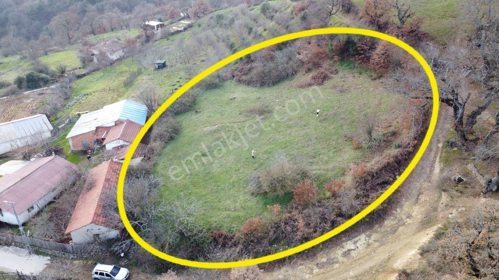 2.500M2 Köyiçi Satılık Arsa Fiyat Düştü 1.150.000Tl