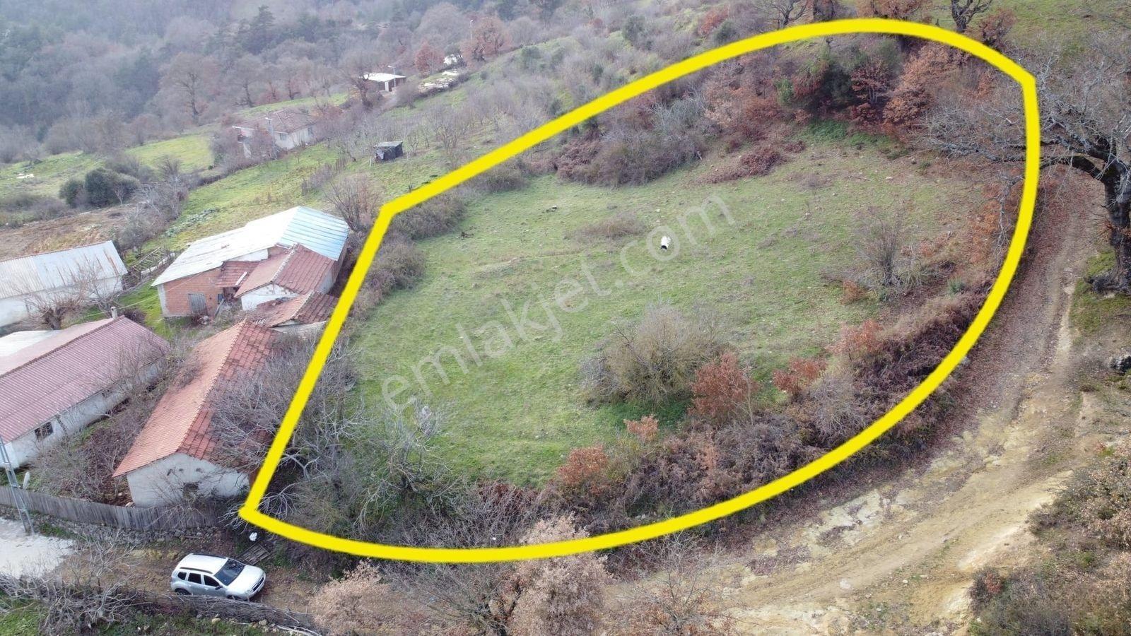 2.500m2 Köyiçi Satılık Arsa Fiyat Düştü 1.150.000tl — fotoğraf 2