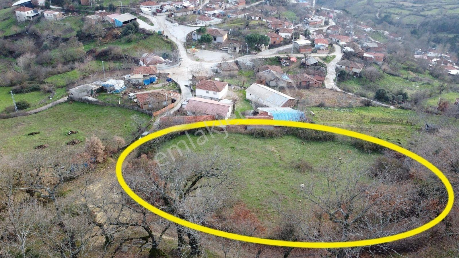 2.500m2 Köyiçi Satılık Arsa Fiyat Düştü 1.150.000tl — fotoğraf 3