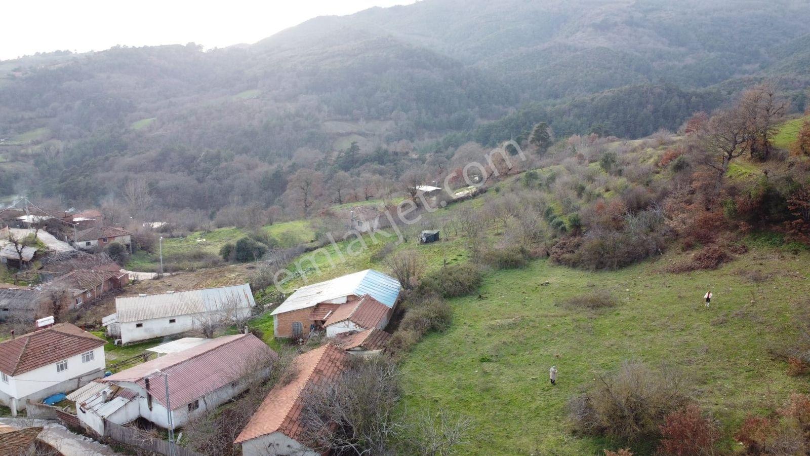 2.500m2 Köyiçi Satılık Arsa Fiyat Düştü 1.150.000tl — fotoğraf 4