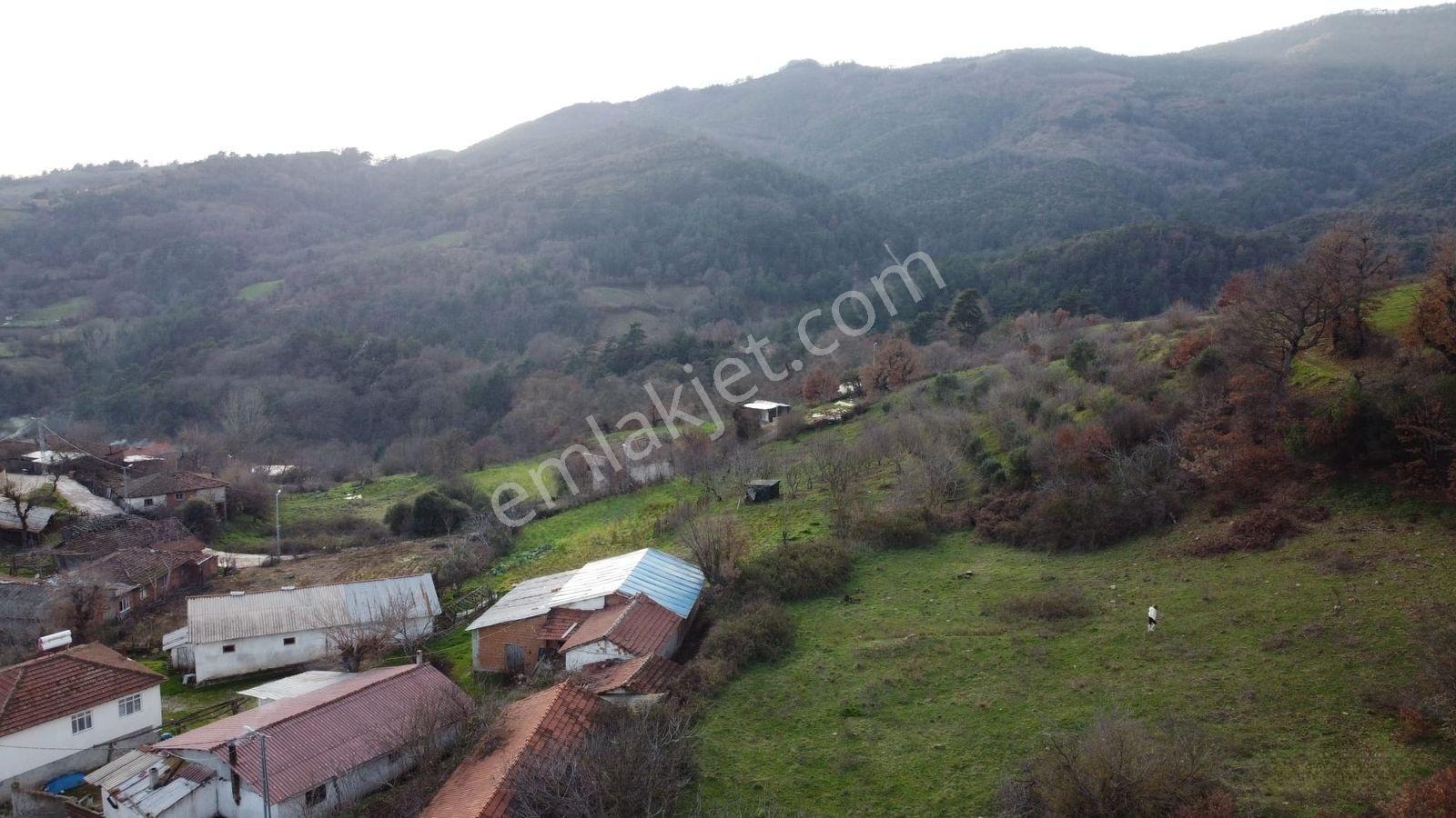 2.500m2 Köyiçi Satılık Arsa Fiyat Düştü 1.150.000tl — fotoğraf 5
