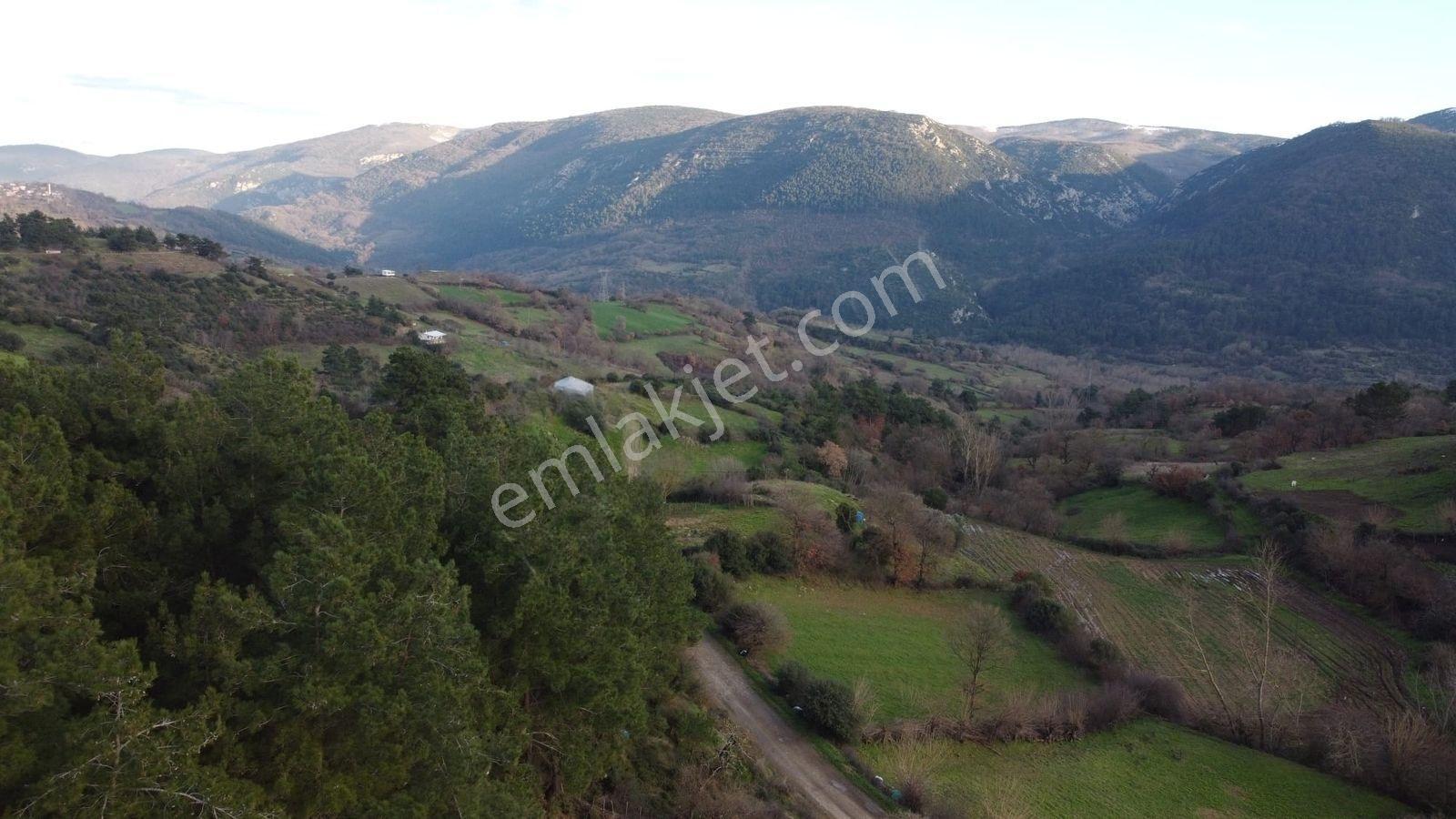 2.500m2 Köyiçi Satılık Arsa Fiyat Düştü 1.150.000tl — fotoğraf 8