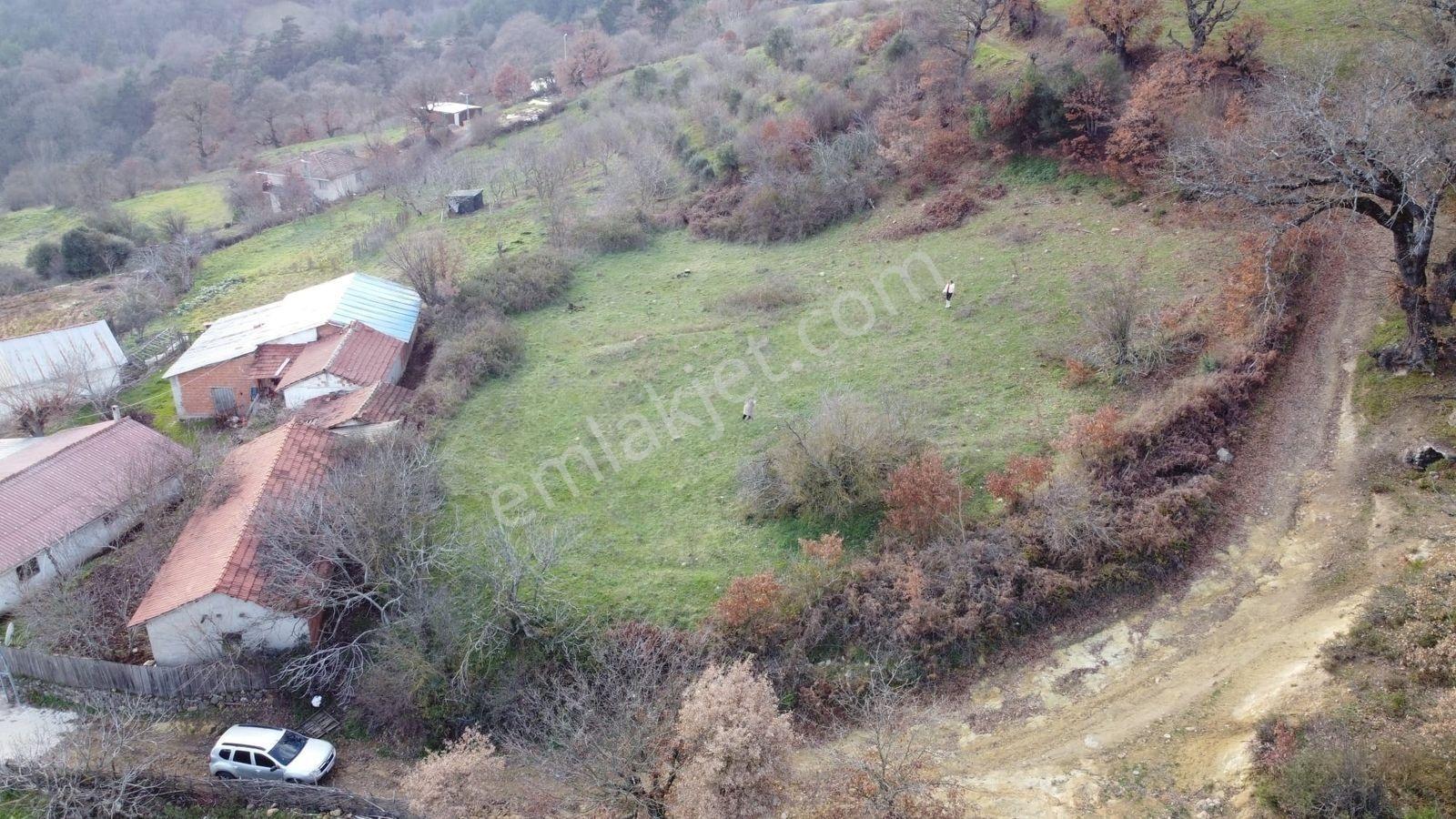 2.500m2 Köyiçi Satılık Arsa Fiyat Düştü 1.150.000tl — fotoğraf 10