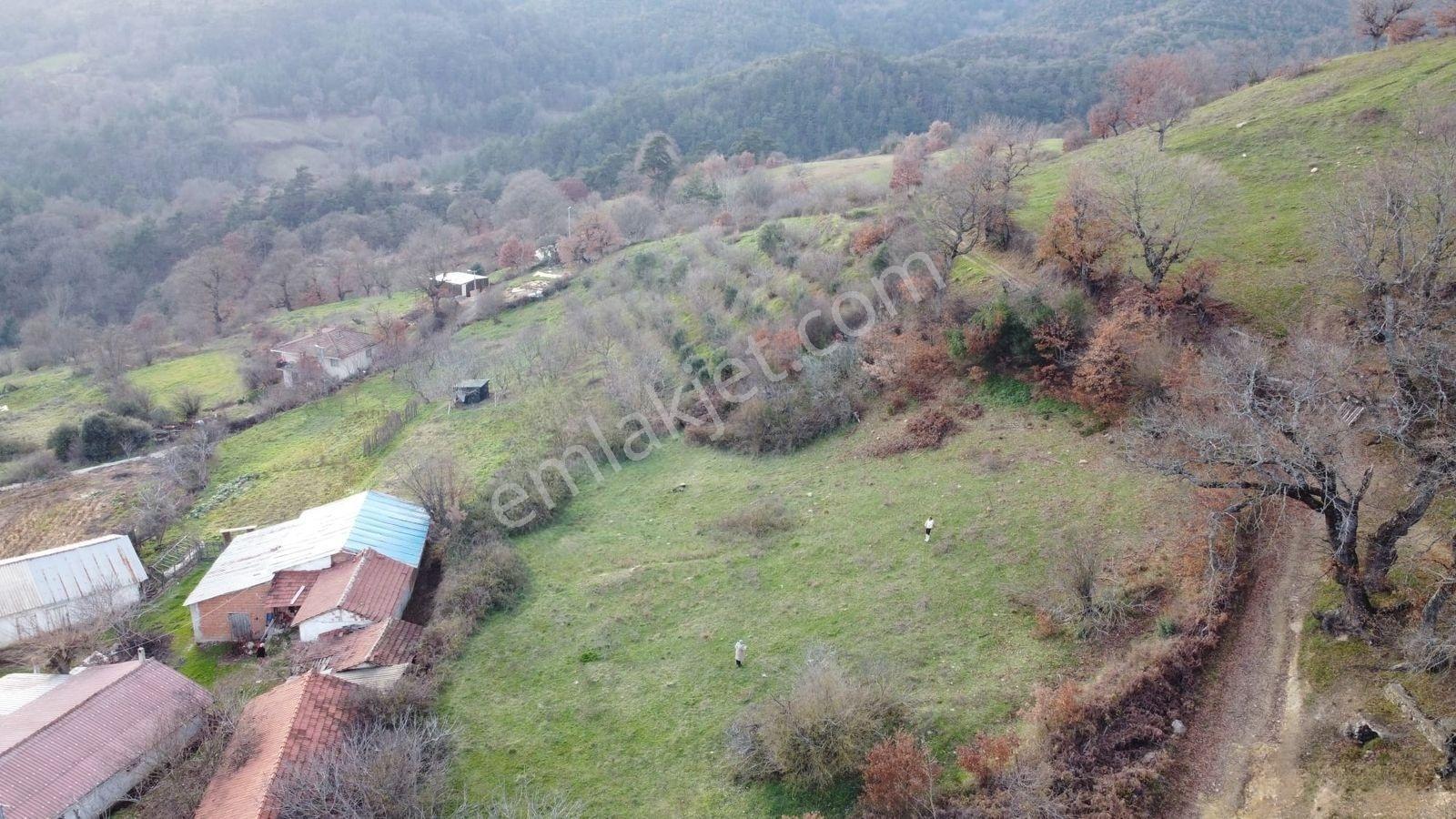2.500m2 Köyiçi Satılık Arsa Fiyat Düştü 1.150.000tl — fotoğraf 12