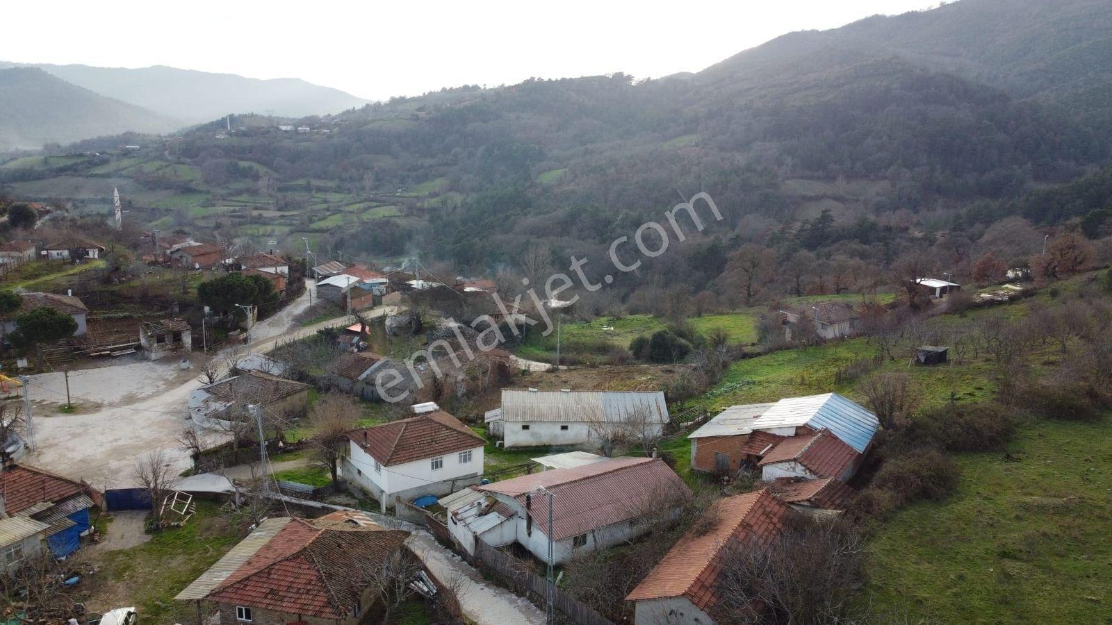 2.500m2 Köyiçi Satılık Arsa Fiyat Düştü 1.150.000tl — fotoğraf 15