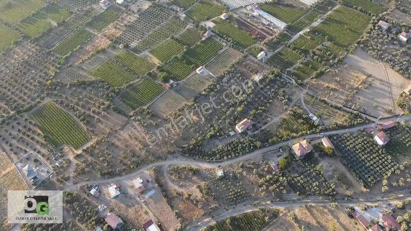 Özbay'dan Hacıbey Mah'de Satılık 12 Dönüm Tek Tapu Zeytinlik — fotoğraf 11
