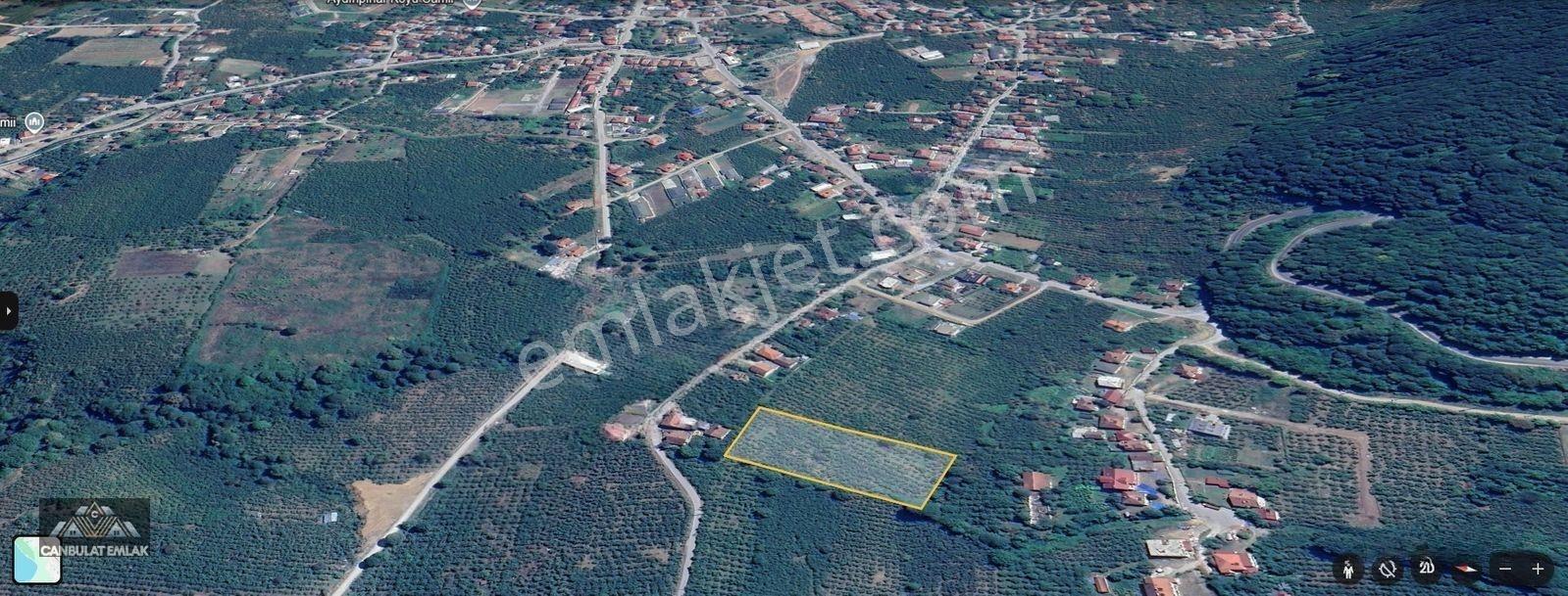 Canbulattan Aydınpınarda 6939 M² Satılık Arsa — fotoğraf 5