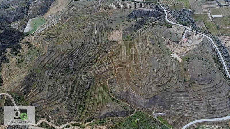 Özbay Gayrimenkulden / Hacıbey Mah'De Satılık 111.160 M2 Arazi