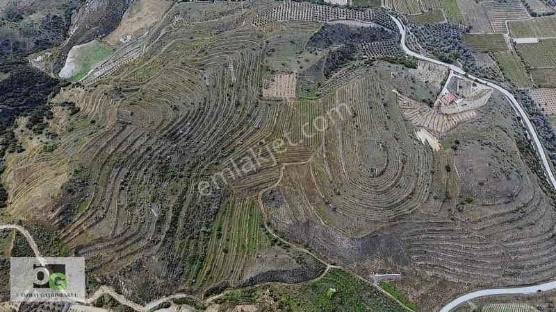 Özbay Gayrimenkulden / Hacıbey Mah'de Satılık 111.160 M2 Arazi — fotoğraf 2