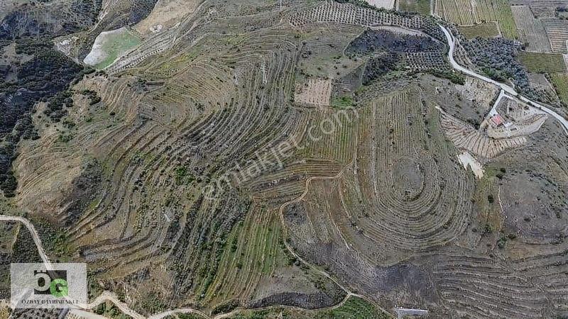 Özbay Gayrimenkulden / Hacıbey Mah'de Satılık 111.160 M2 Arazi — fotoğraf 4