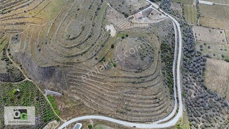 Özbay Gayrimenkulden / Hacıbey Mah'de Satılık 111.160 M2 Arazi — fotoğraf 6