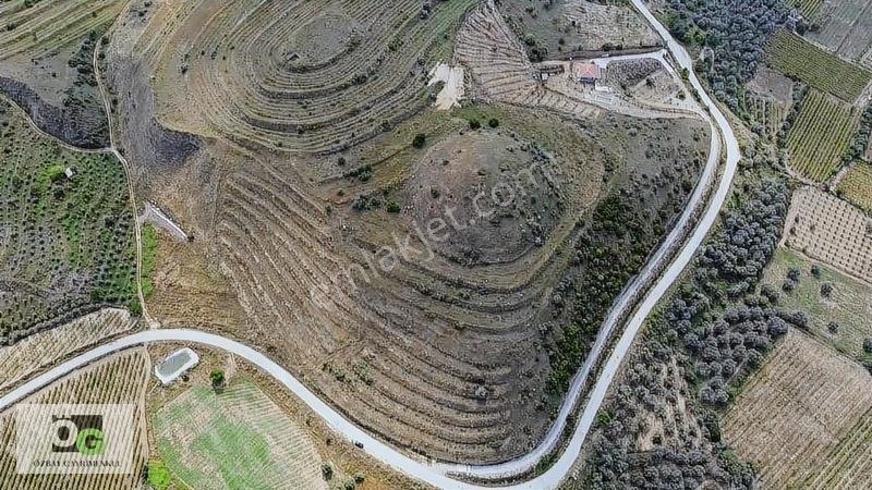 Özbay Gayrimenkulden / Hacıbey Mah'de Satılık 111.160 M2 Arazi — fotoğraf 8