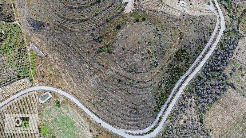 Özbay Gayrimenkulden / Hacıbey Mah'de Satılık 111.160 M2 Arazi — fotoğraf 10