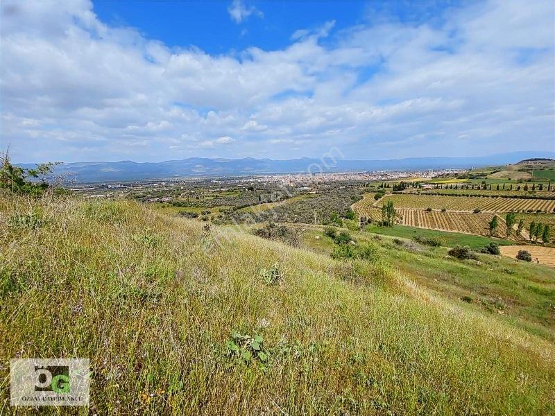 Özbay Gayrimenkulden / Hacıbey Mah'de Satılık 111.160 M2 Arazi — fotoğraf 16