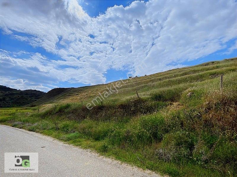 Özbay Gayrimenkulden / Hacıbey Mah'de Satılık 111.160 M2 Arazi — fotoğraf 31