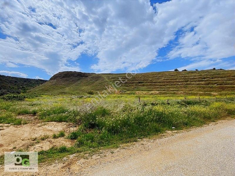Özbay Gayrimenkulden / Hacıbey Mah'de Satılık 111.160 M2 Arazi — fotoğraf 32