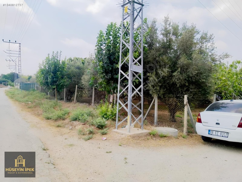 Hüseyin İpekten Kürkçüler Dağcı Mah. Satılık Zeytin Bahçesi — fotoğraf 12