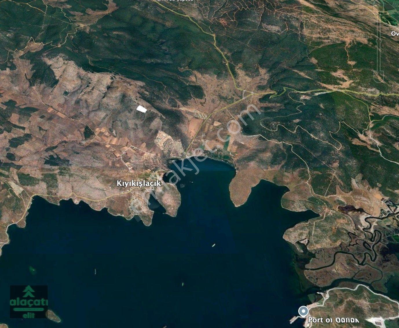 Milas Kıyıkışlacık Tek Tapu Körfez Manzaralı Zeytinlik