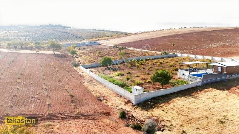 Suboğazı Sınırı Tek Tapu Resmi Yola Cepheli Ful Üzüm Bağı Fırsat — fotoğraf 2