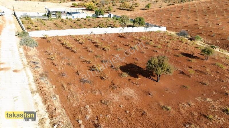 Suboğazı Sınırı Tek Tapu Resmi Yola Cepheli Ful Üzüm Bağı Fırsat — fotoğraf 6