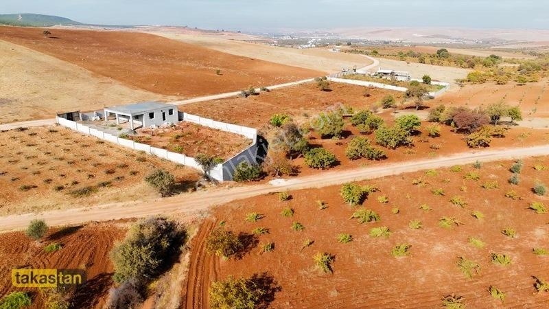 Suboğazı Sınırı Tek Tapu Resmi Yola Cepheli Ful Üzüm Bağı Fırsat — fotoğraf 8