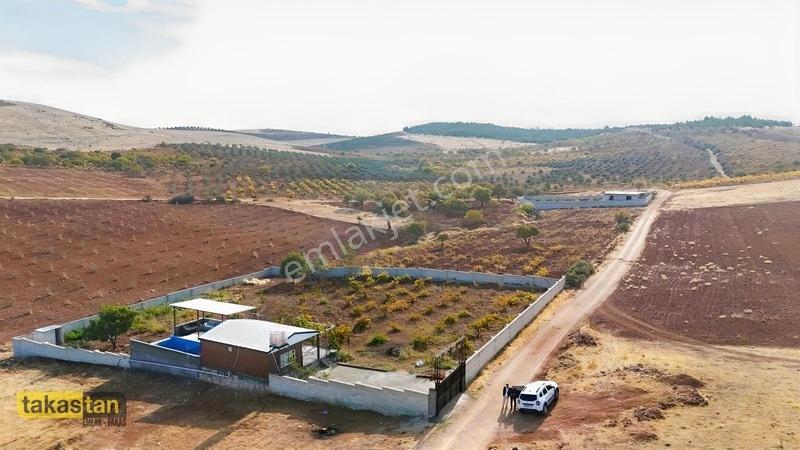 Suboğazı Sınırı Tek Tapu Resmi Yola Cepheli Ful Üzüm Bağı Fırsat — fotoğraf 11
