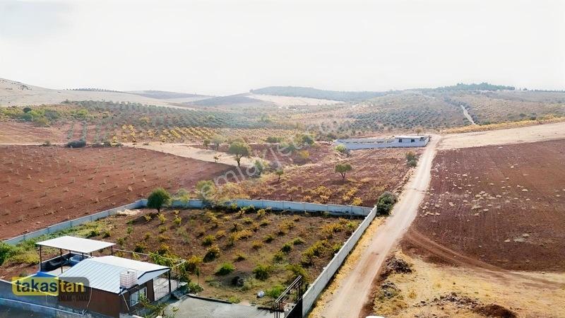 Suboğazı Sınırı Tek Tapu Resmi Yola Cepheli Ful Üzüm Bağı Fırsat — fotoğraf 12