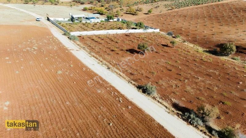 Suboğazı Sınırı Tek Tapu Resmi Yola Cepheli Ful Üzüm Bağı Fırsat — fotoğraf 13