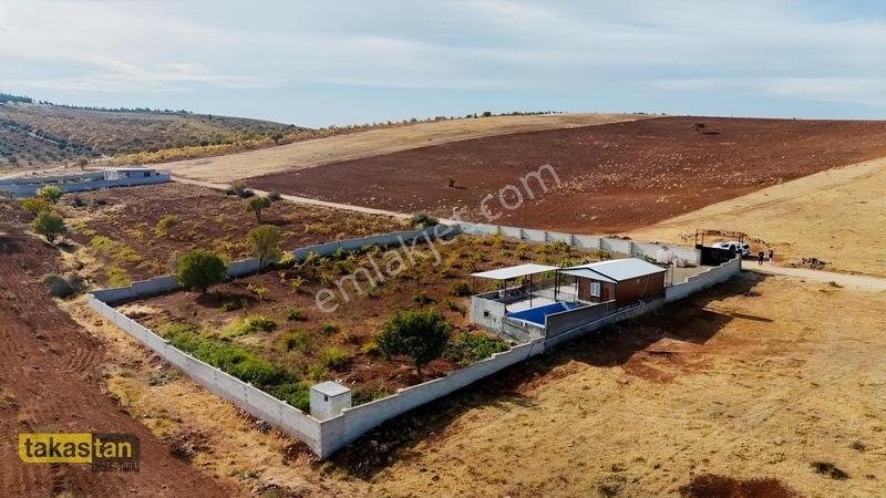 Suboğazı Sınırı Tek Tapu Resmi Yola Cepheli Ful Üzüm Bağı Fırsat — fotoğraf 16