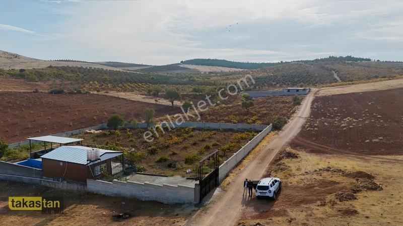 Suboğazı Sınırı Tek Tapu Resmi Yola Cepheli Ful Üzüm Bağı Fırsat — fotoğraf 18