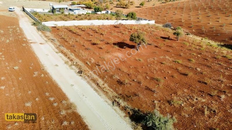 Suboğazı Sınırı Tek Tapu Resmi Yola Cepheli Ful Üzüm Bağı Fırsat — fotoğraf 19