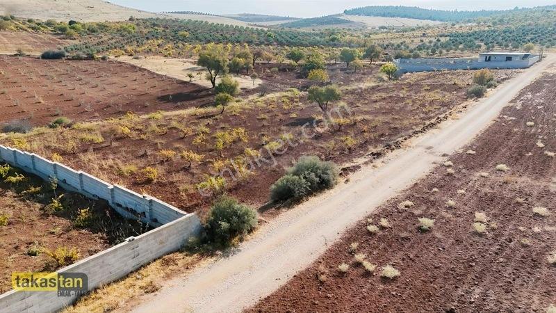 Suboğazı Sınırı Tek Tapu Resmi Yola Cepheli Ful Üzüm Bağı Fırsat — fotoğraf 20