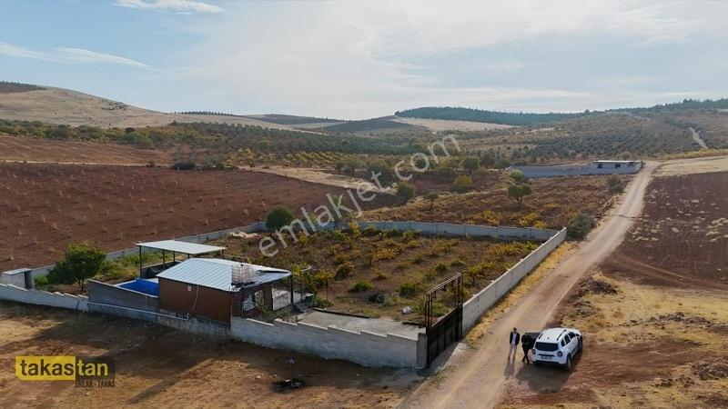 Suboğazı Sınırı Tek Tapu Resmi Yola Cepheli Ful Üzüm Bağı Fırsat — fotoğraf 21