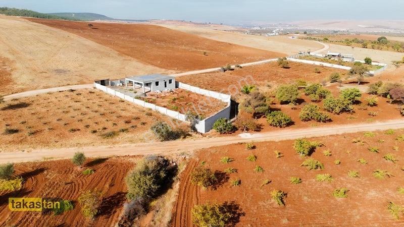 Suboğazı Sınırı Tek Tapu Resmi Yola Cepheli Ful Üzüm Bağı Fırsat — fotoğraf 22