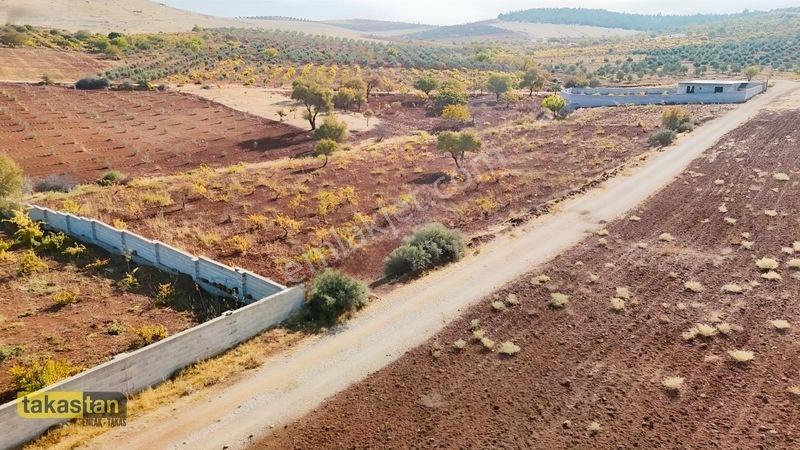 Suboğazı Sınırı Tek Tapu Resmi Yola Cepheli Ful Üzüm Bağı Fırsat — fotoğraf 23