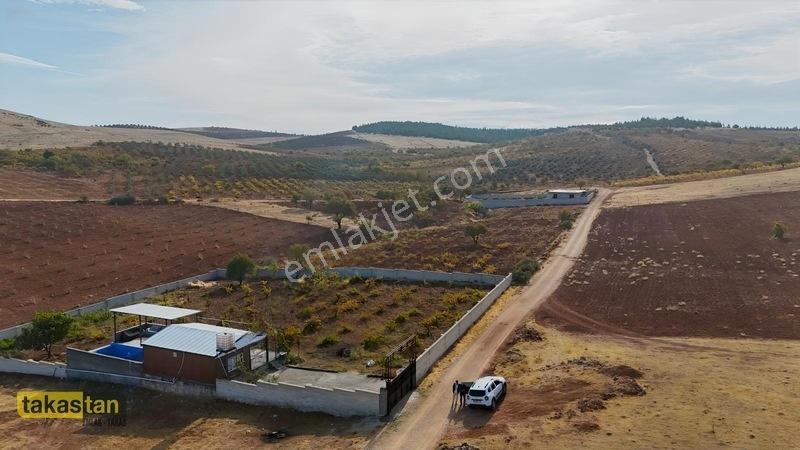 Suboğazı Sınırı Tek Tapu Resmi Yola Cepheli Ful Üzüm Bağı Fırsat — fotoğraf 27