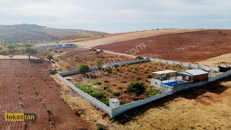Suboğazı Sınırı Tek Tapu Resmi Yola Cepheli Ful Üzüm Bağı Fırsat — fotoğraf 28