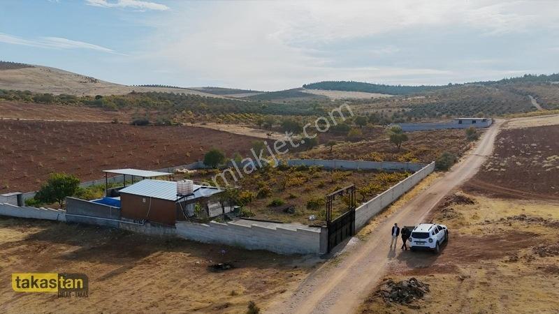 Suboğazı Sınırı Tek Tapu Resmi Yola Cepheli Ful Üzüm Bağı Fırsat — fotoğraf 32
