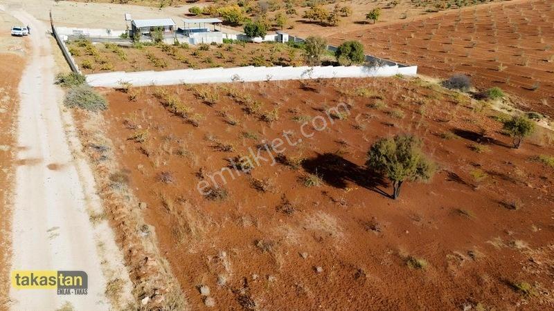 Suboğazı Sınırı Tek Tapu Resmi Yola Cepheli Ful Üzüm Bağı Fırsat — fotoğraf 33