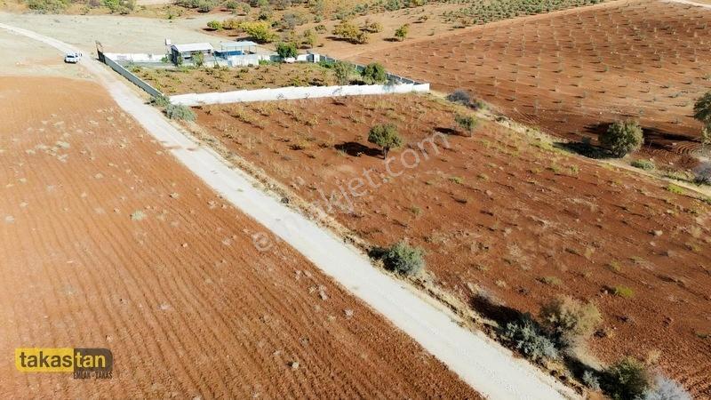 Suboğazı Sınırı Tek Tapu Resmi Yola Cepheli Ful Üzüm Bağı Fırsat — fotoğraf 34