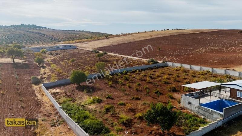 Suboğazı Sınırı Tek Tapu Resmi Yola Cepheli Ful Üzüm Bağı Fırsat — fotoğraf 35