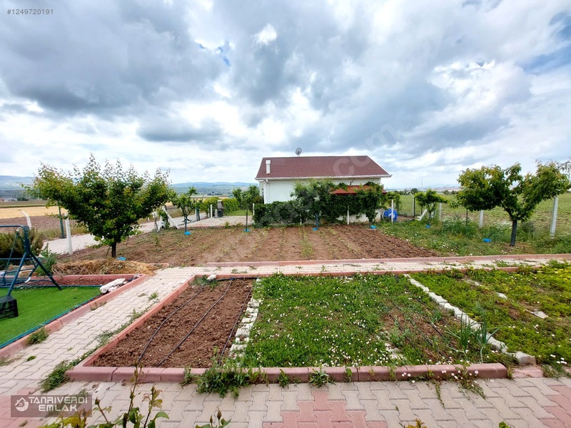 Tanrıverdi'den Satılık Günbaşında Hobi Bahçesi 430m2 — fotoğraf 12