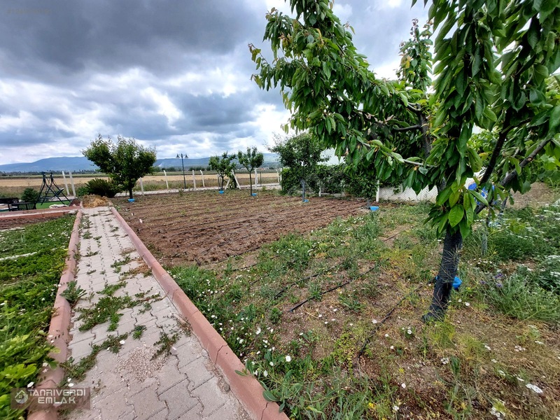 Tanrıverdi'den Satılık Günbaşında Hobi Bahçesi 430m2 — fotoğraf 14