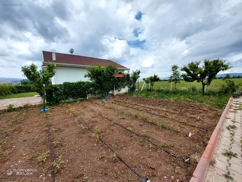 Tanrıverdi'den Satılık Günbaşında Hobi Bahçesi 430m2 — fotoğraf 16