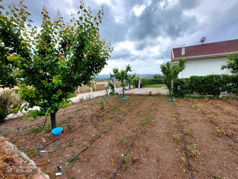 Tanrıverdi'den Satılık Günbaşında Hobi Bahçesi 430m2 — fotoğraf 17