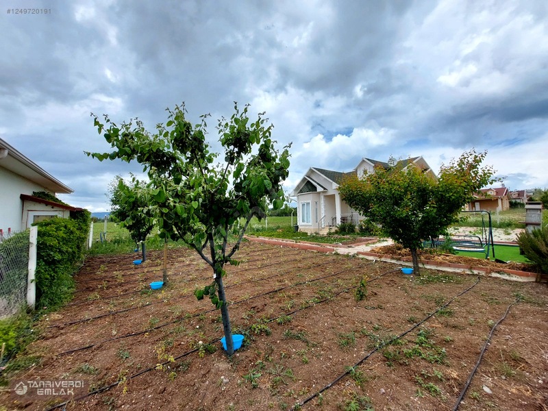 Tanrıverdi'den Satılık Günbaşında Hobi Bahçesi 430m2 — fotoğraf 23