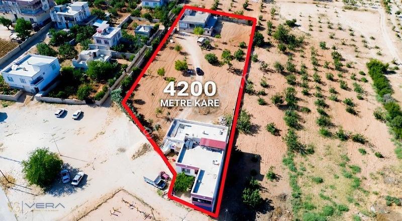 Serince Mahallesinde 4.203 M² Arsa İçerisinde 3 Mustakil Ev