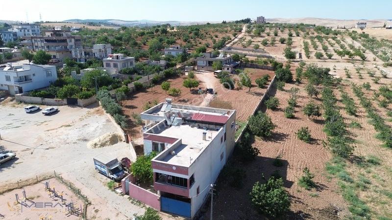 Serince Mahallesinde 4.203 M² Arsa İçerisinde 3 Mustakil Ev — fotoğraf 3
