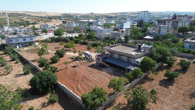 Serince Mahallesinde 4.203 M² Arsa İçerisinde 3 Mustakil Ev — fotoğraf 4